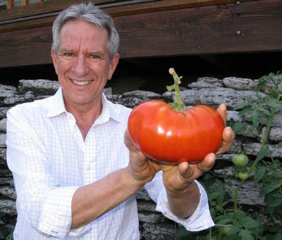 Dentist Tom Pray with HUGE tomato from his garden